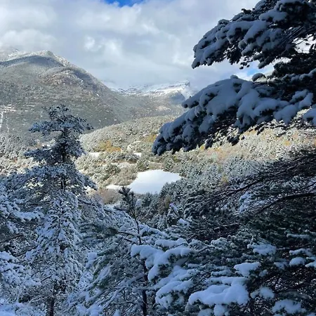 Rincon De Pepo 公寓 比利亚努亚